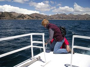 boliperu (440)
